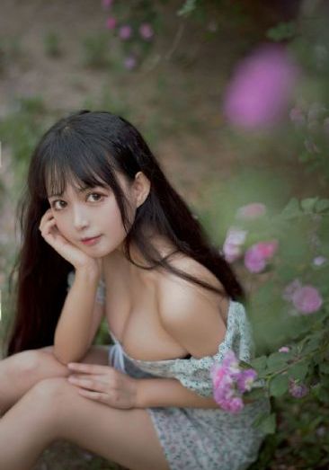 一级黄网站