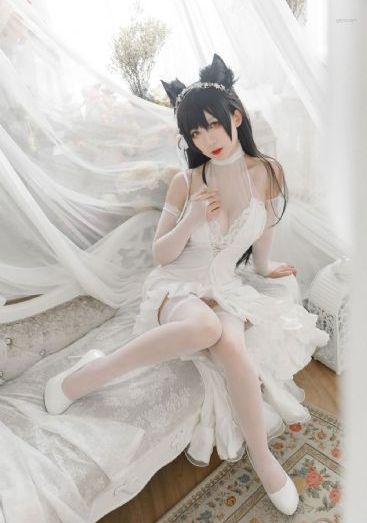 龙战士电影免费观看完整版
