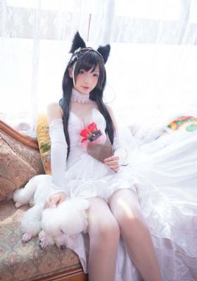 图书馆的女友免费